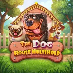 The Dog House Multihold game at Kats Casino for Australia players The Dog House Multihold game at Kats Casino for Australia players